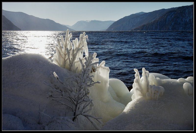 Рождественская елочка. фото превью