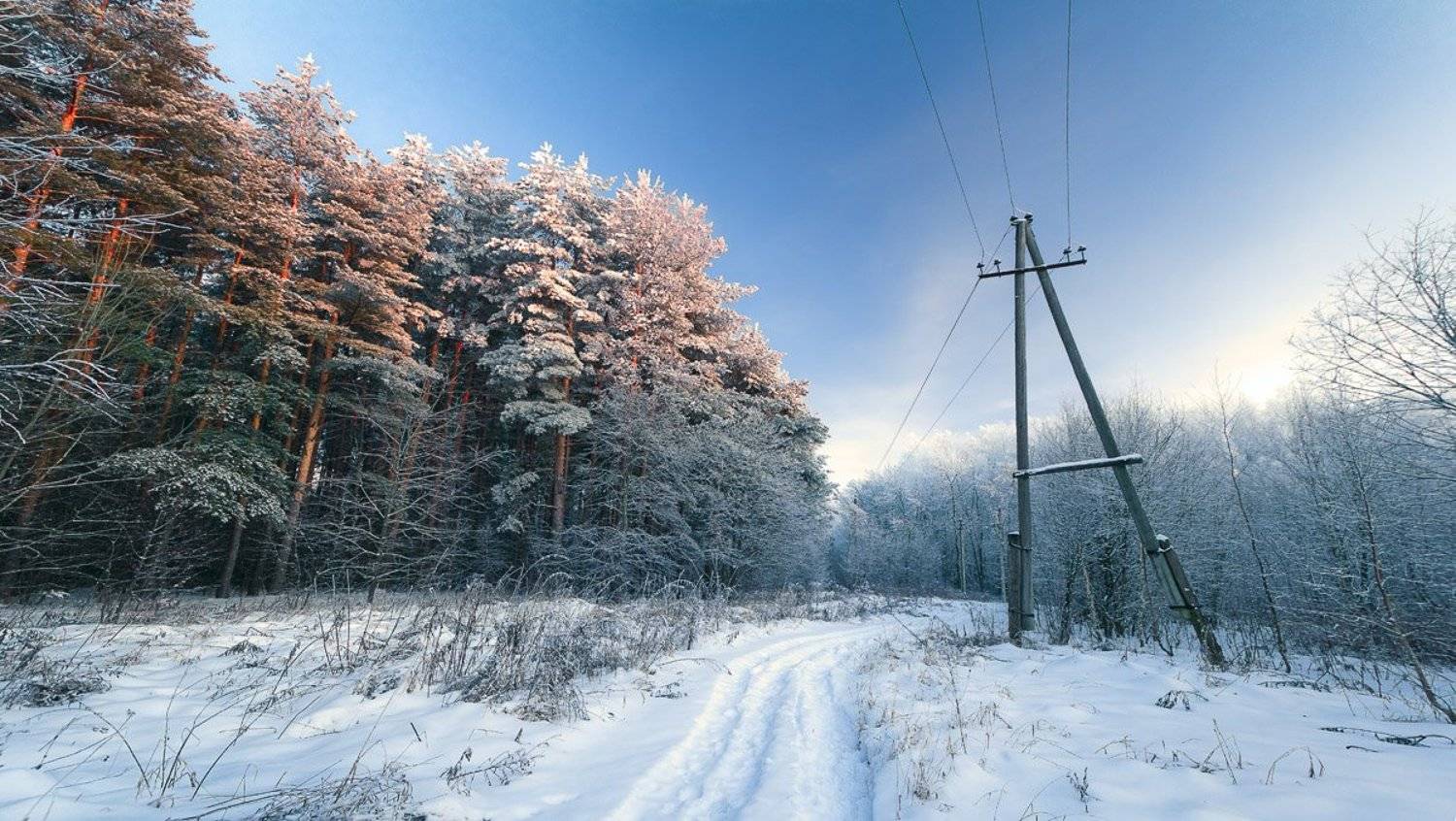 тула, тульская область, пейзаж, зима, россия, Сергей Зимин