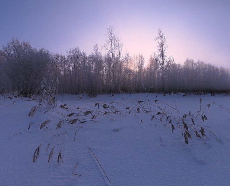 ~104~ фото превью