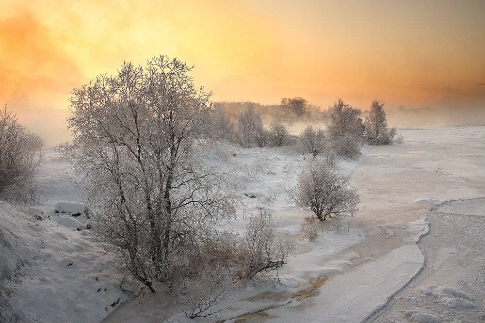 , Александр Коротков