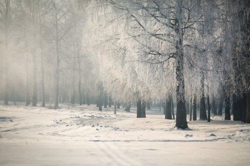 С Рождеством!