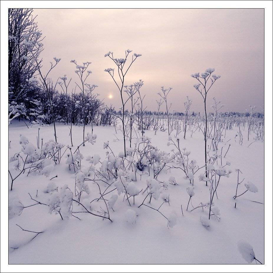 , Andrey Fedoseev