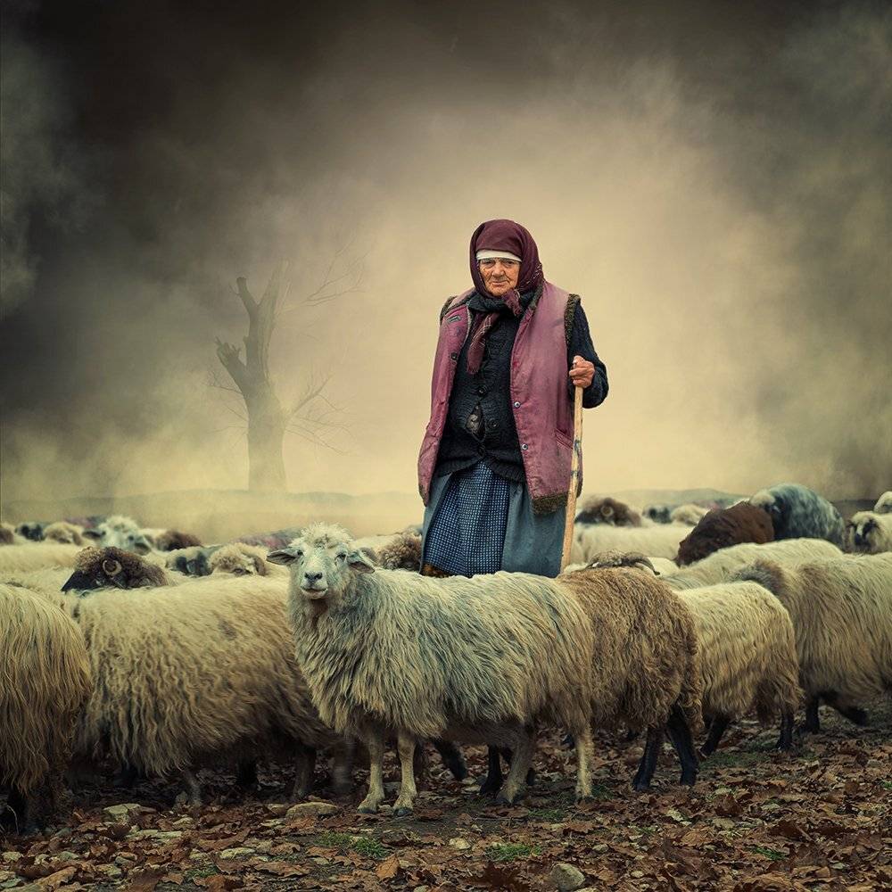 , Caras Ionut