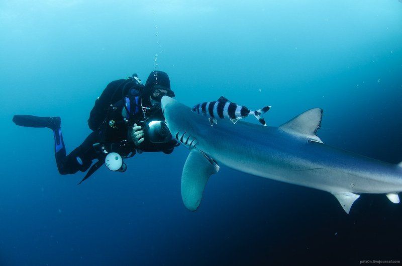 история любви фото превью