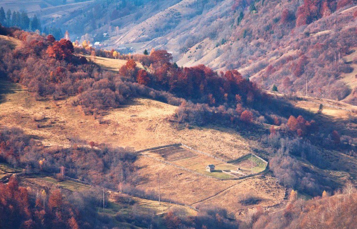 карпаты, осень, утро, свет, лес, огород, Андрей Радюк