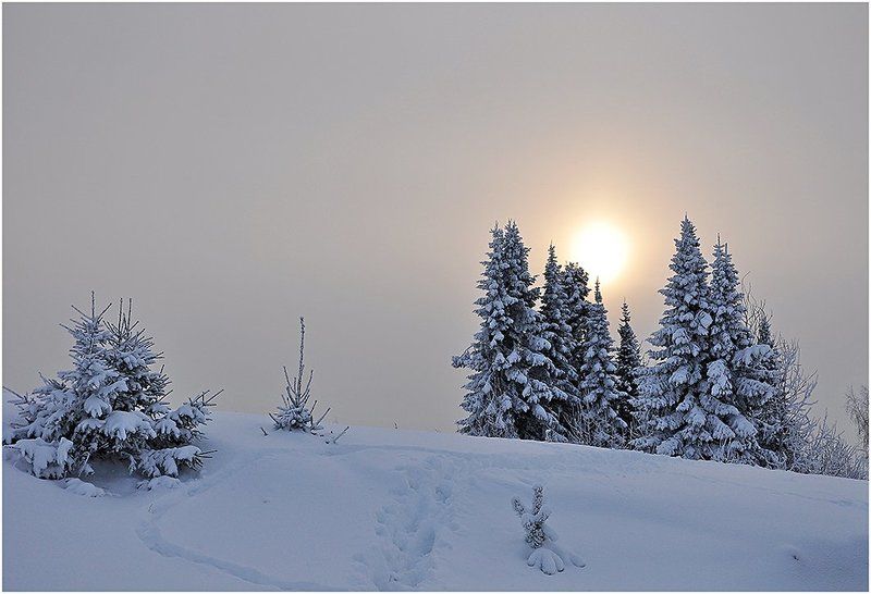 зима,зимний пейзаж,пасмурно,небо,удмуртия,солнце Атмосферная меланхолия фото превью