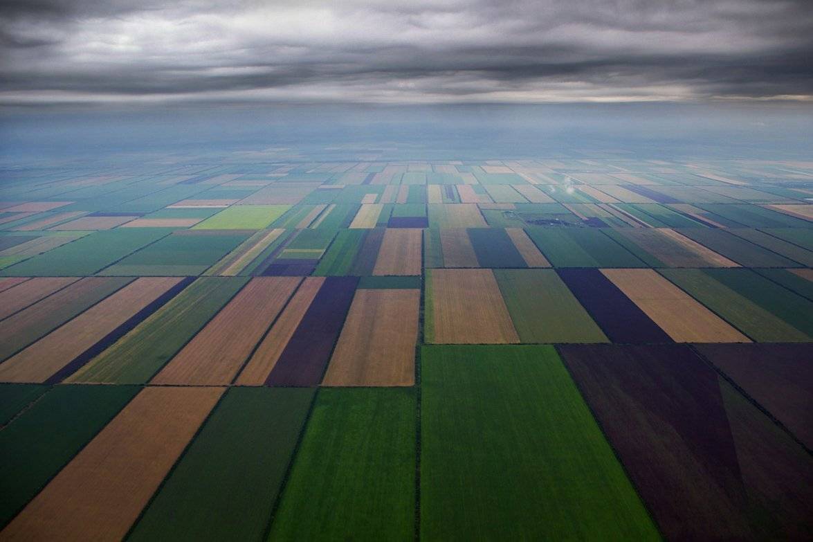 , Сидоренко Алексей