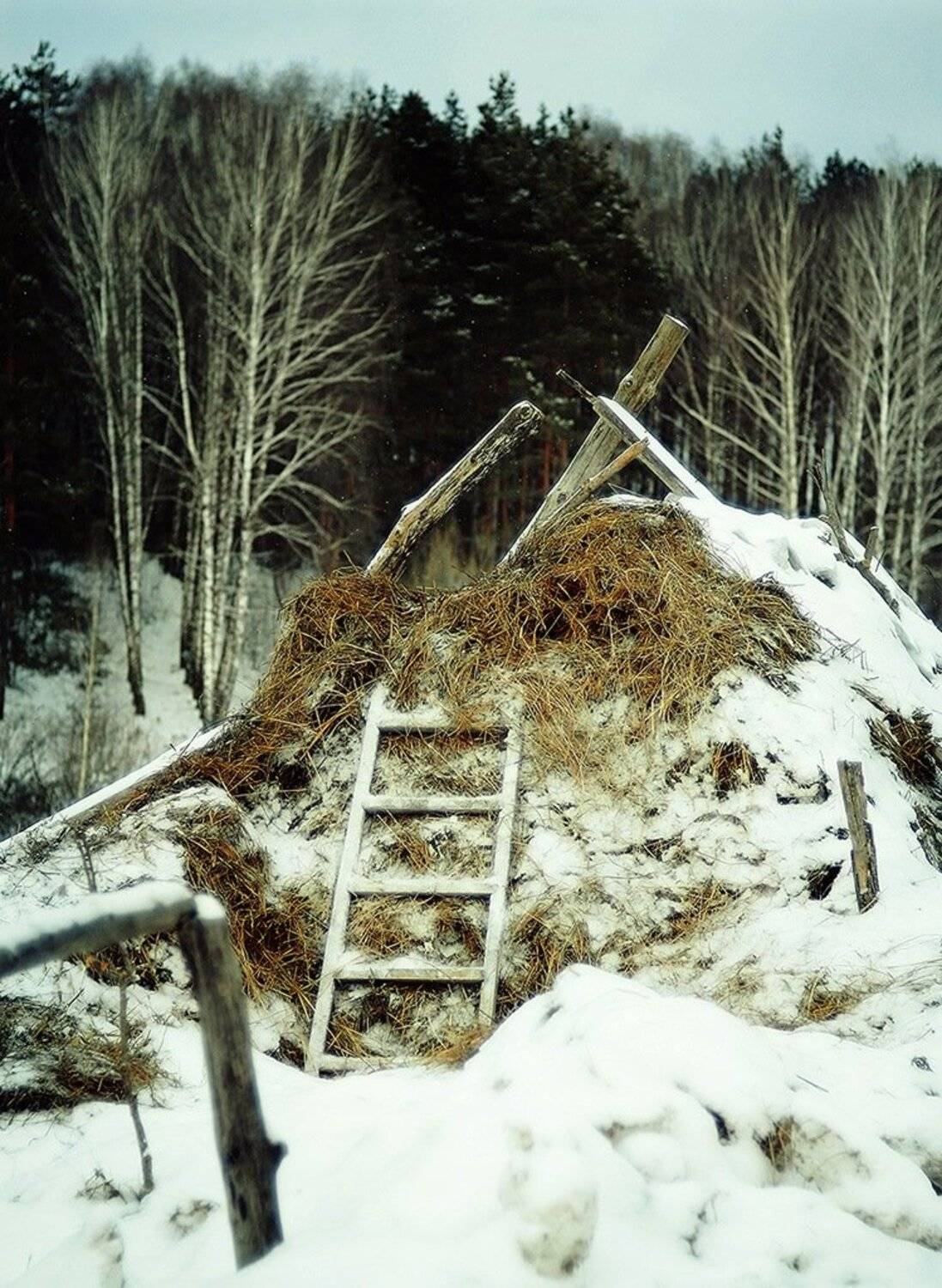 , Павел Нагорный