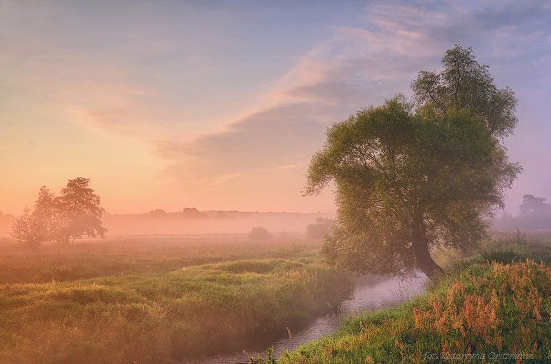 colors of the morning фото превью