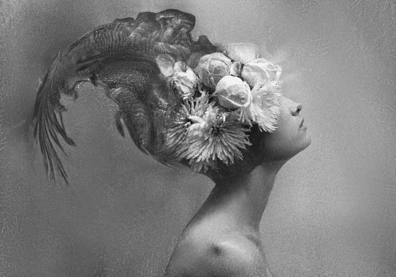 женщина -рыба фото превью