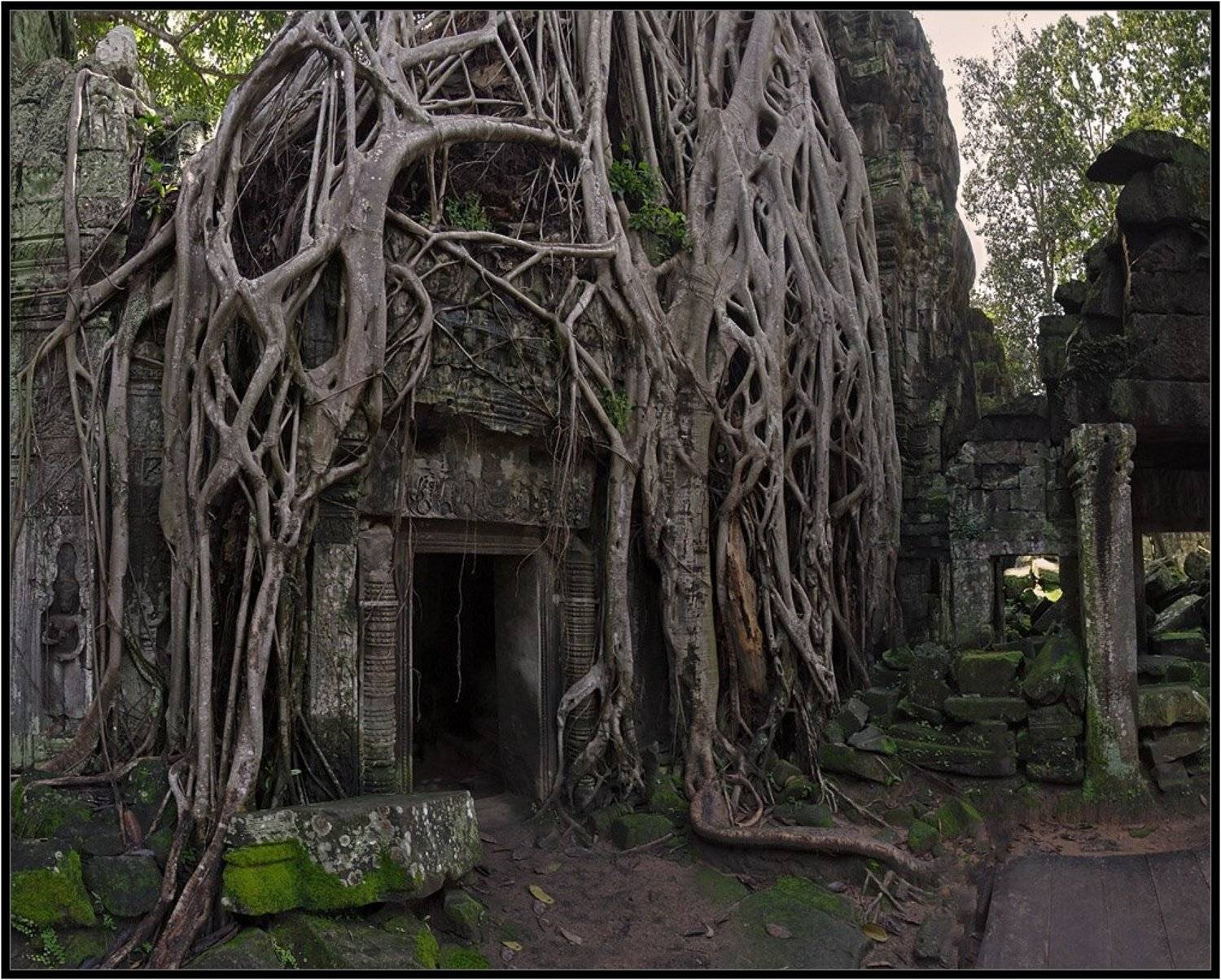 , Александр Нагибин