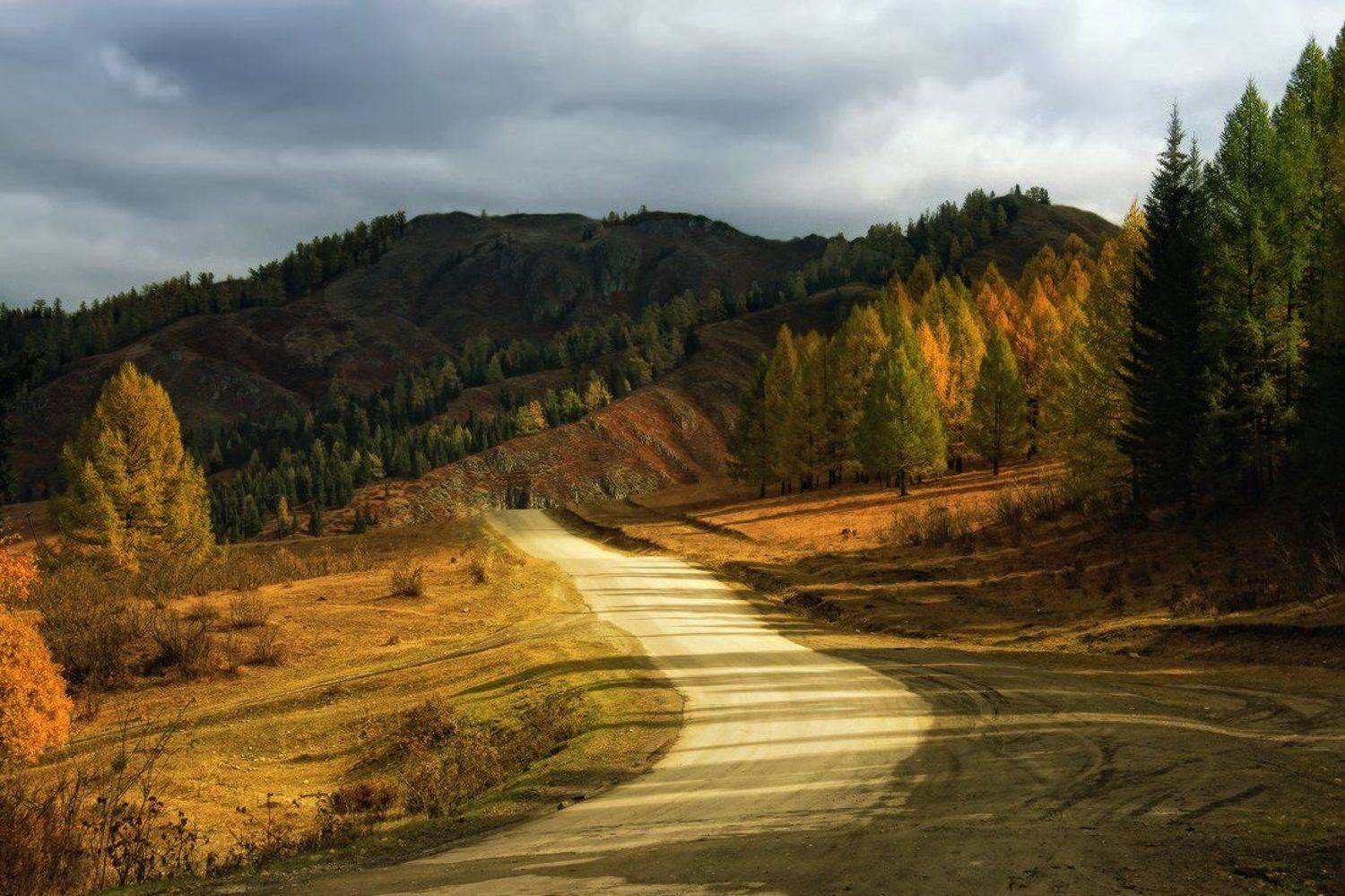 горный алтай, осень, Галина Хвостенко
