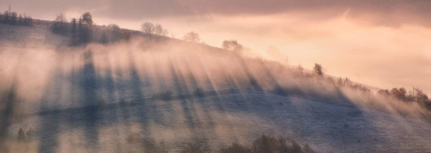 карпаты, осень, утро, свет, лес, туман, Андрей Радюк