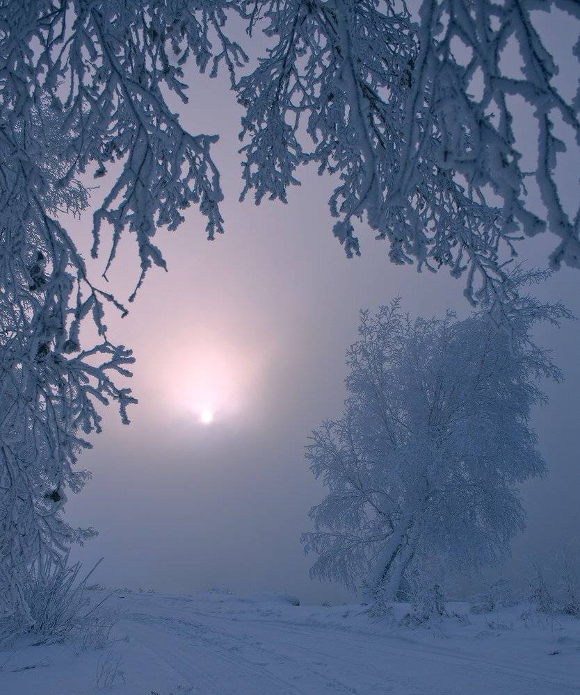 , Николай Морский