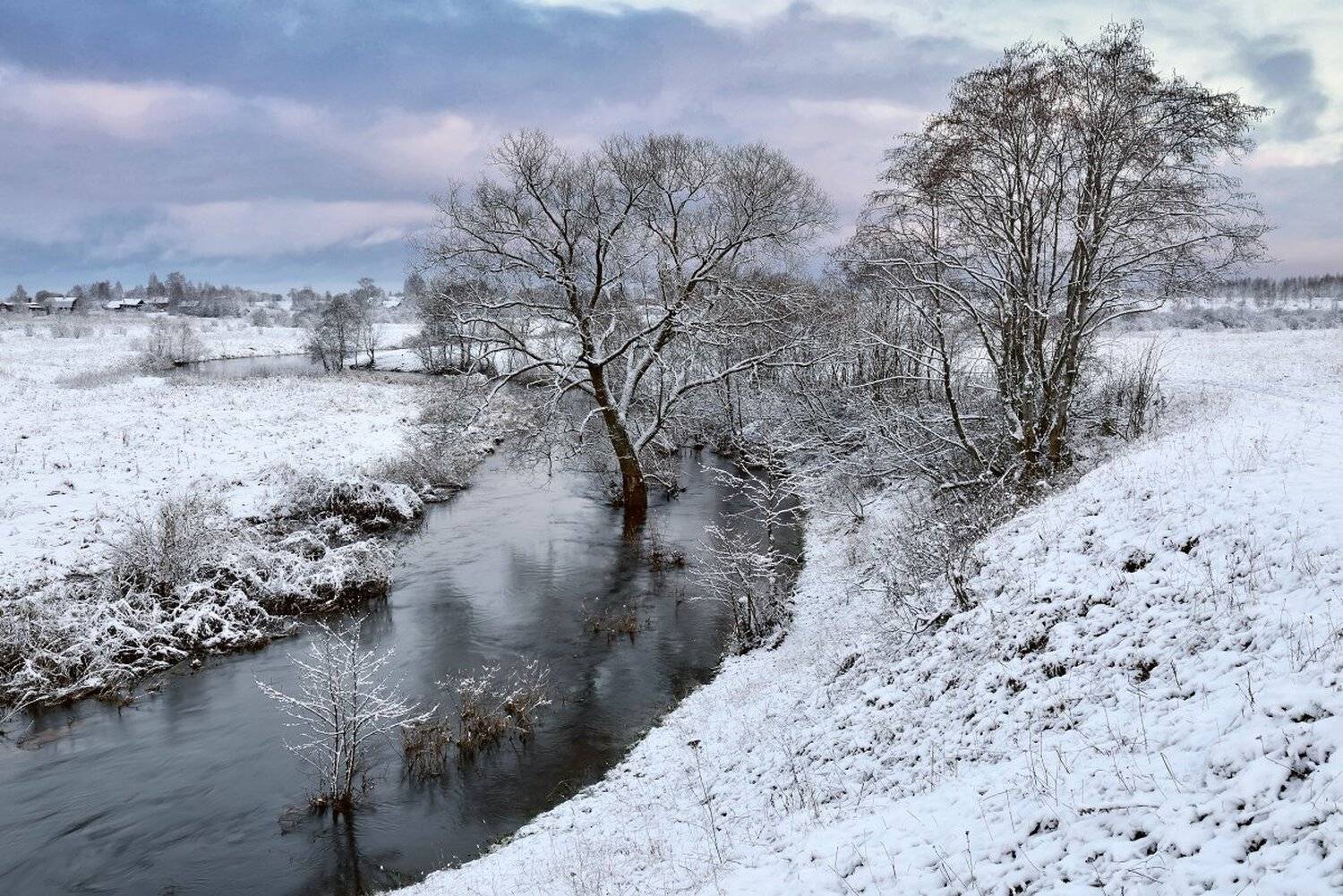 , Максим Евдокимов