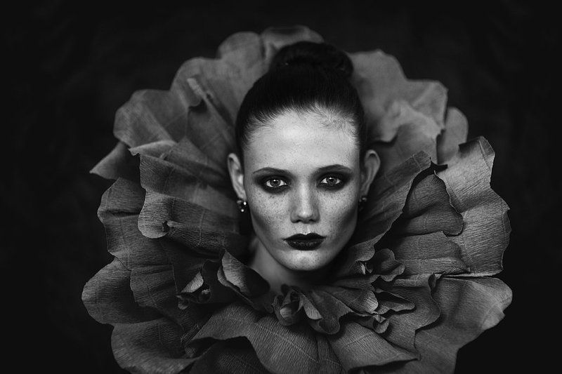 Rose фото превью