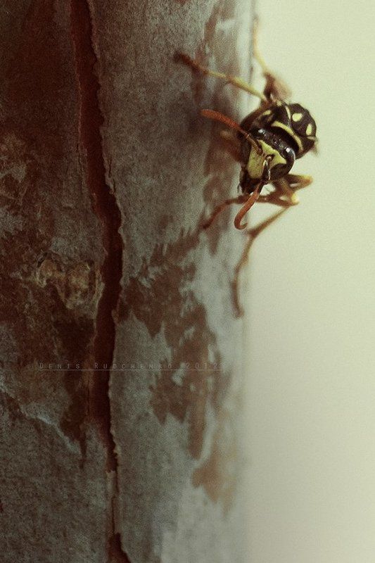 Stunning view фото превью