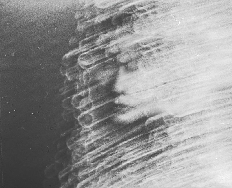 * фото превью