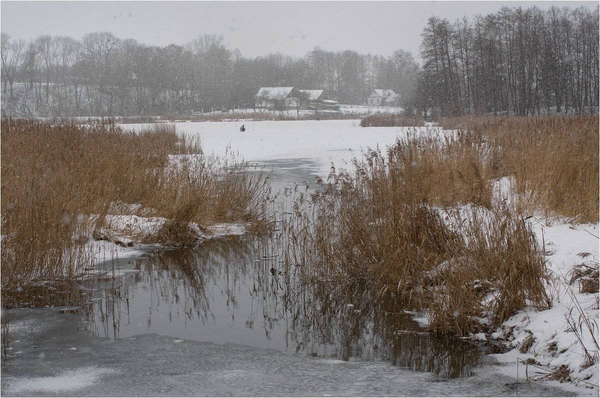 , Николай Шахманцир