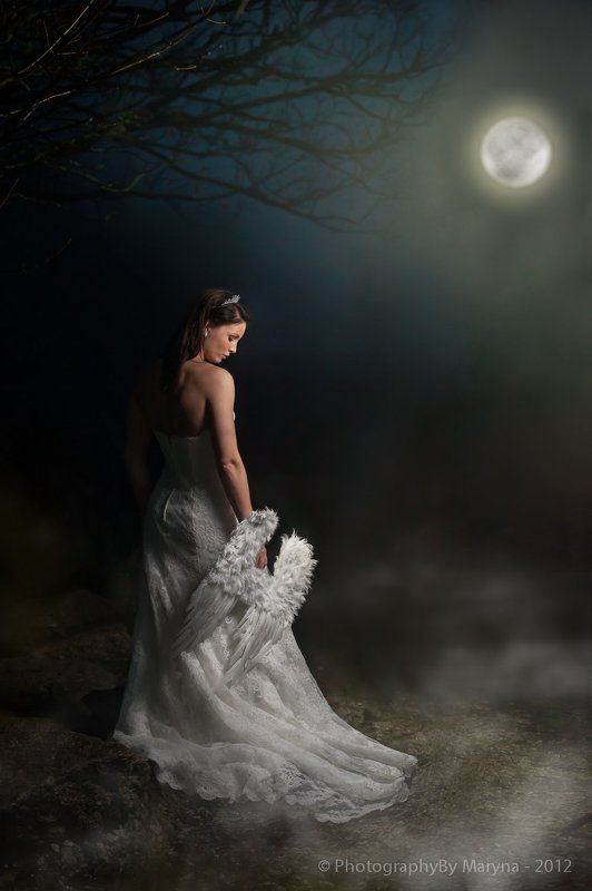 Midnight angel фото превью