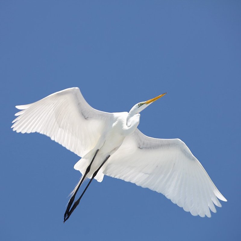 * фото превью