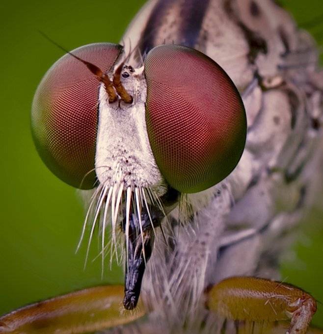 , Андрей Канышев