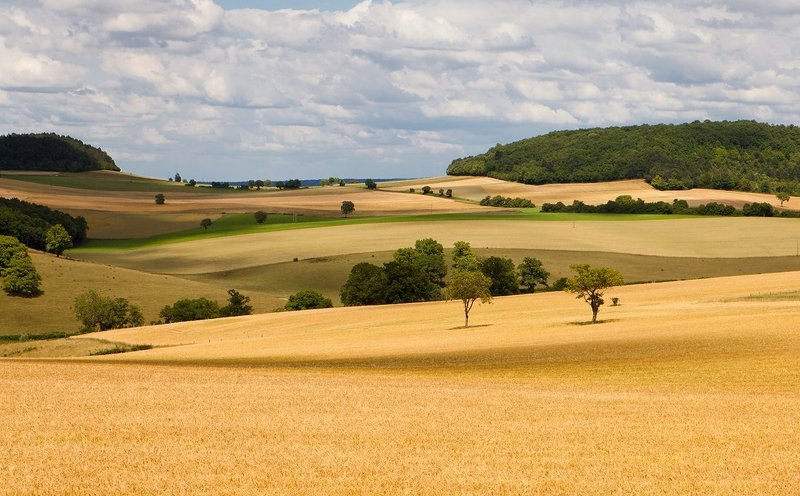 Поле фото превью