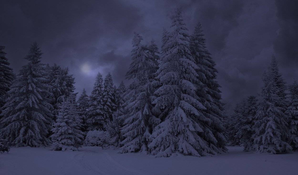 , Михаил  Пилипенко