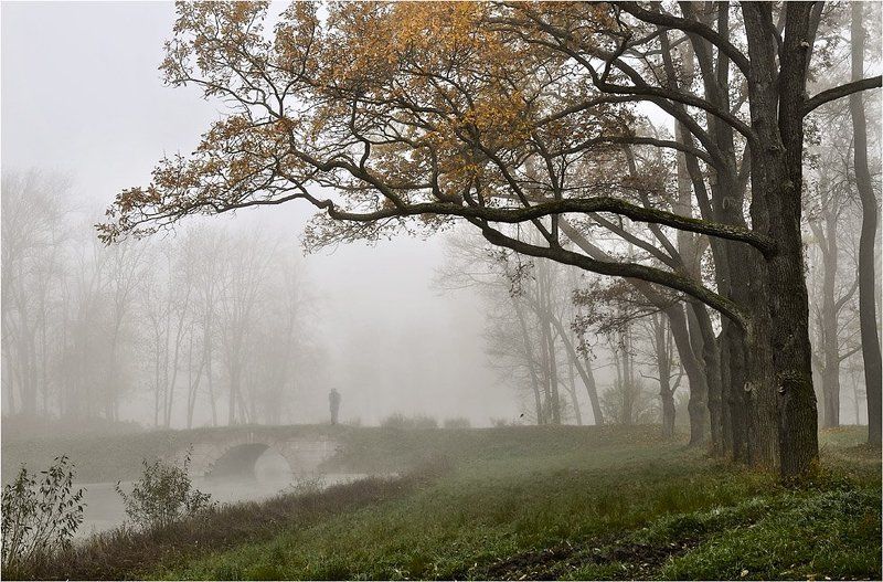 Вампир в тумане фото превью