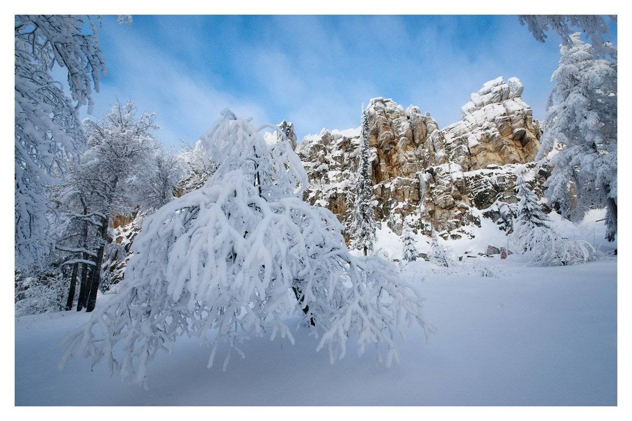 , Владимир Ляпин