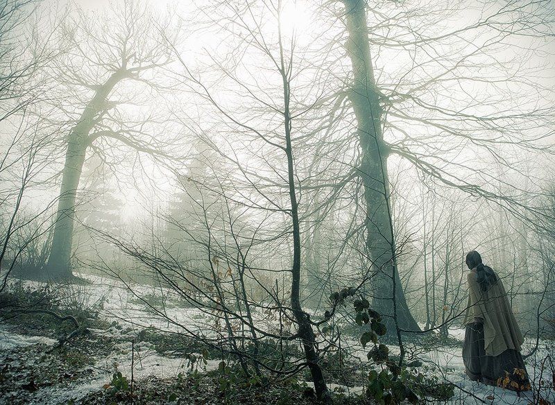 Готический лесphoto preview