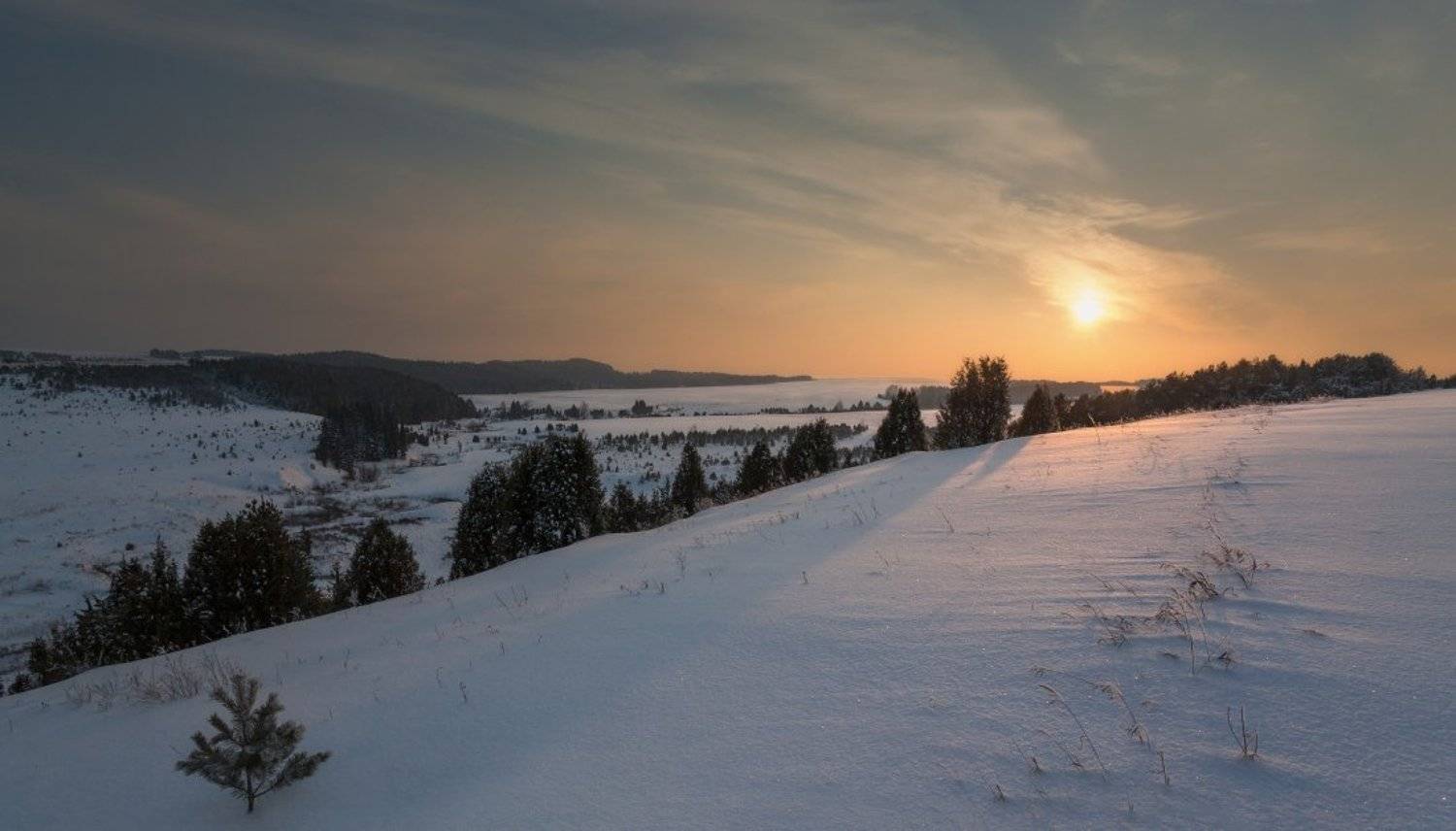 снег, склоны, елки, лес, тени, вечер, солнце, зима, Георгий Машковцев
