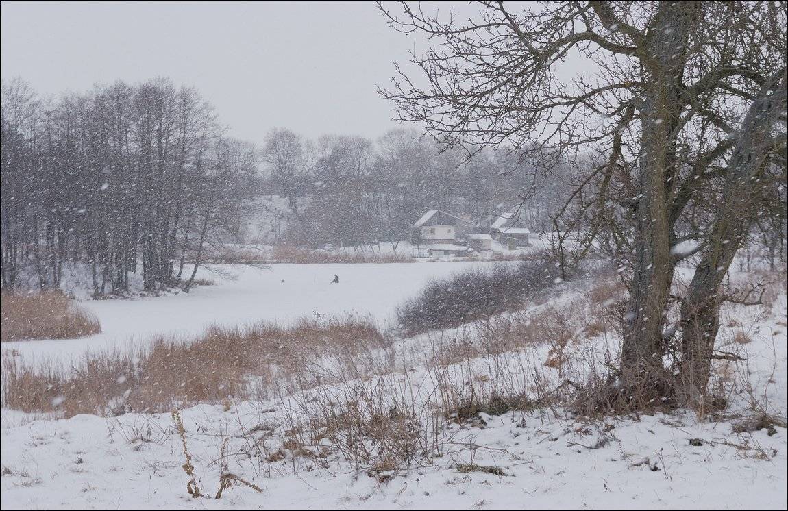 , Николай Шахманцир