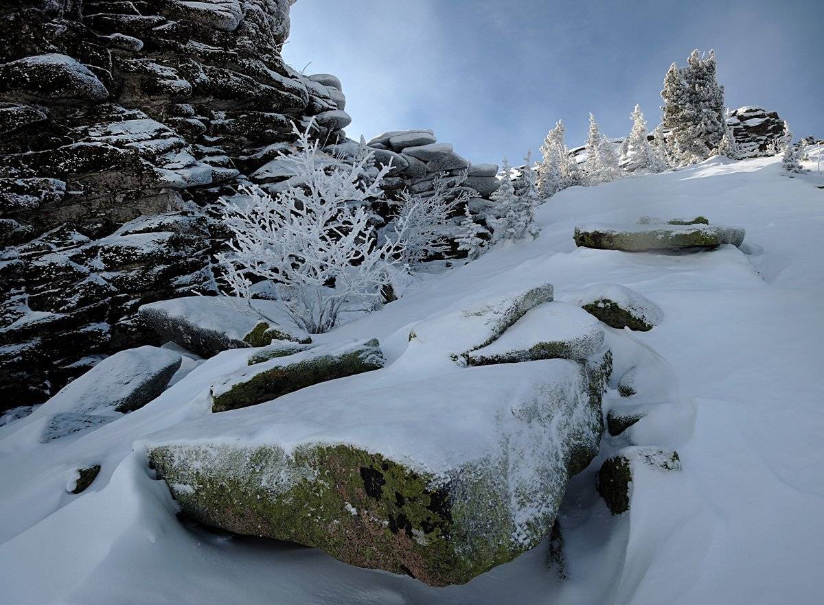 , Сергей Седов