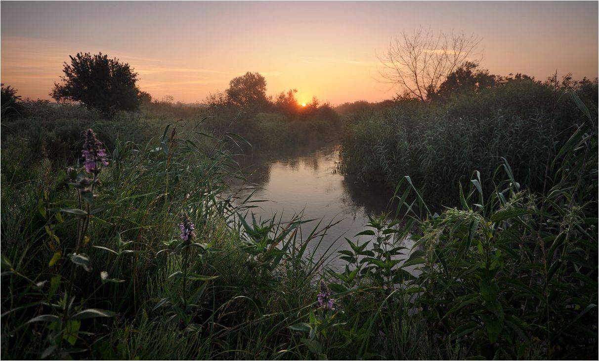 , Володимир Карчевський