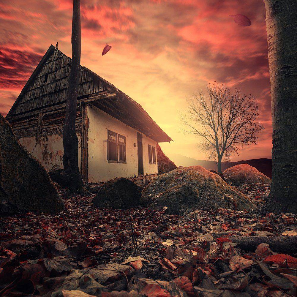 , Caras Ionut