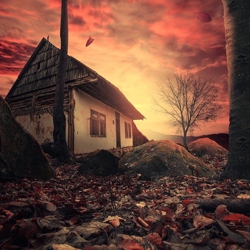 The house behind wall фото превью