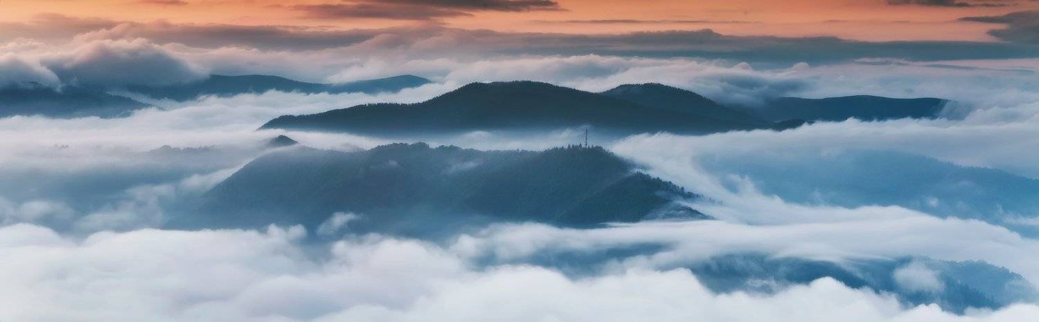 , Денис Кривой