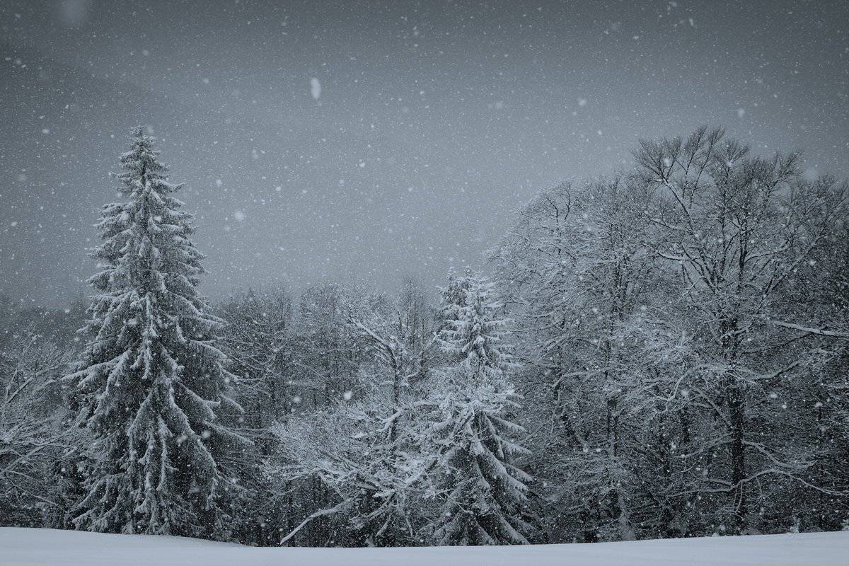 , Виталий Ра