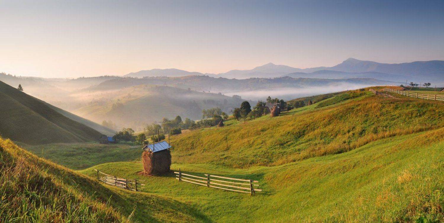 , Денис Кривой