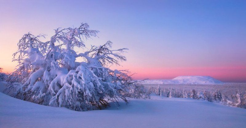 В тишине снегов фото превью