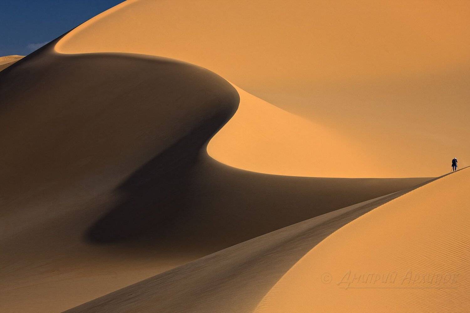 , Дмитрий Архипов