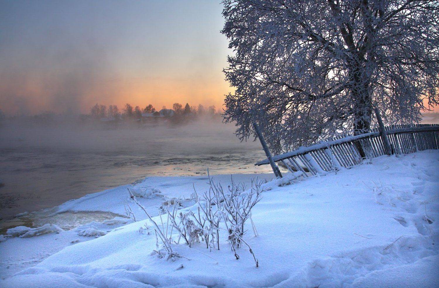 , Андрей Котов