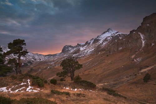 Прошлогодние краски Оштена