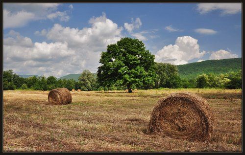 И было лето...