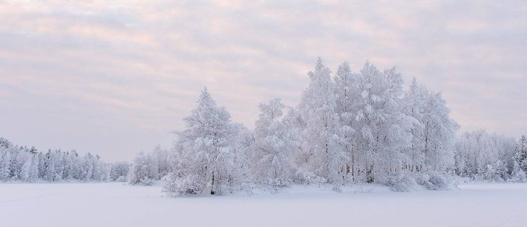 , Григорий Пиль