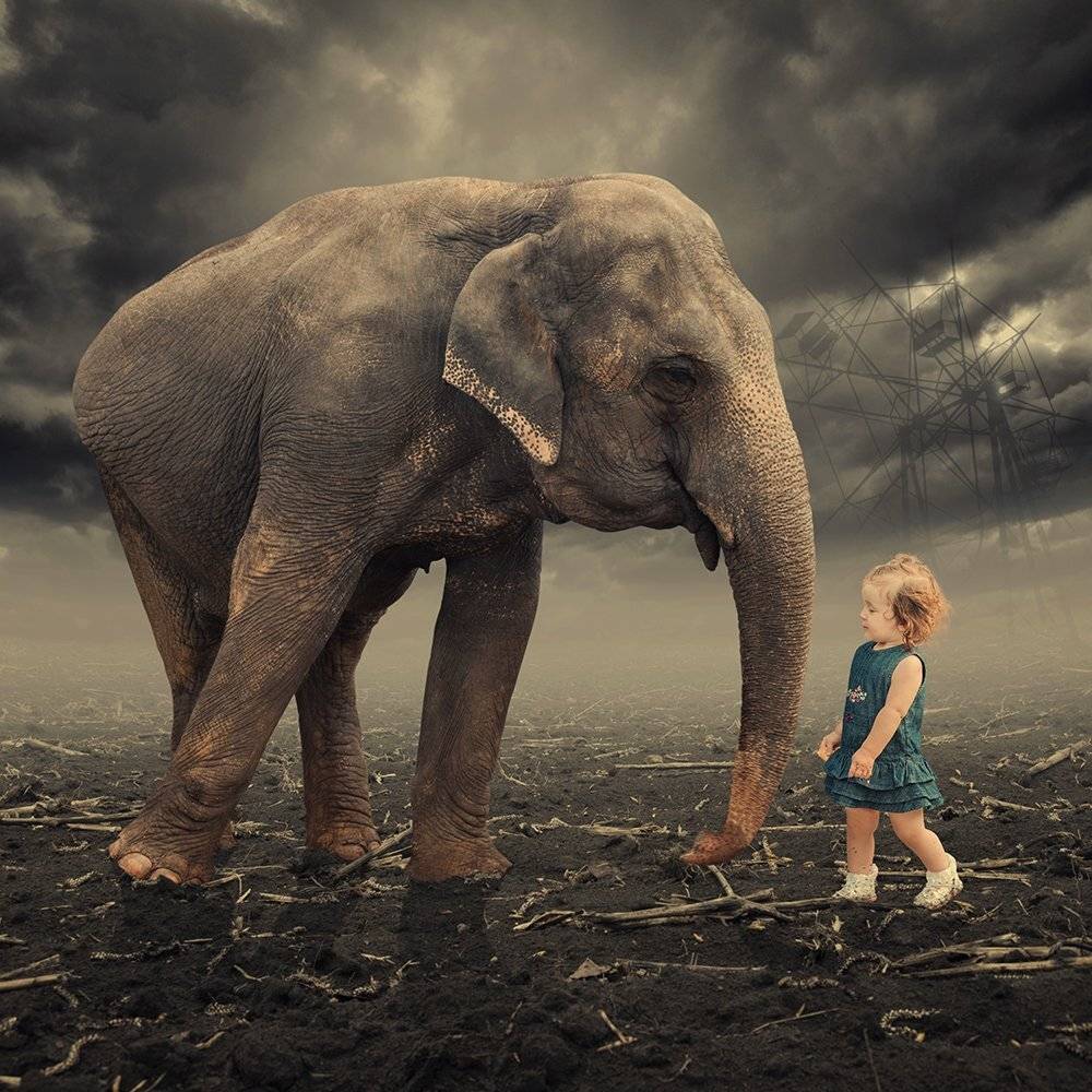 , Caras Ionut