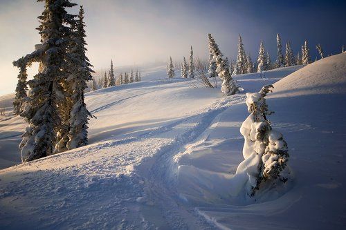 Утро Красивого Дня