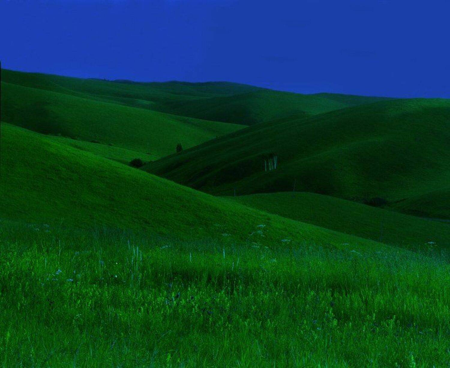 , Павел Мартюшев