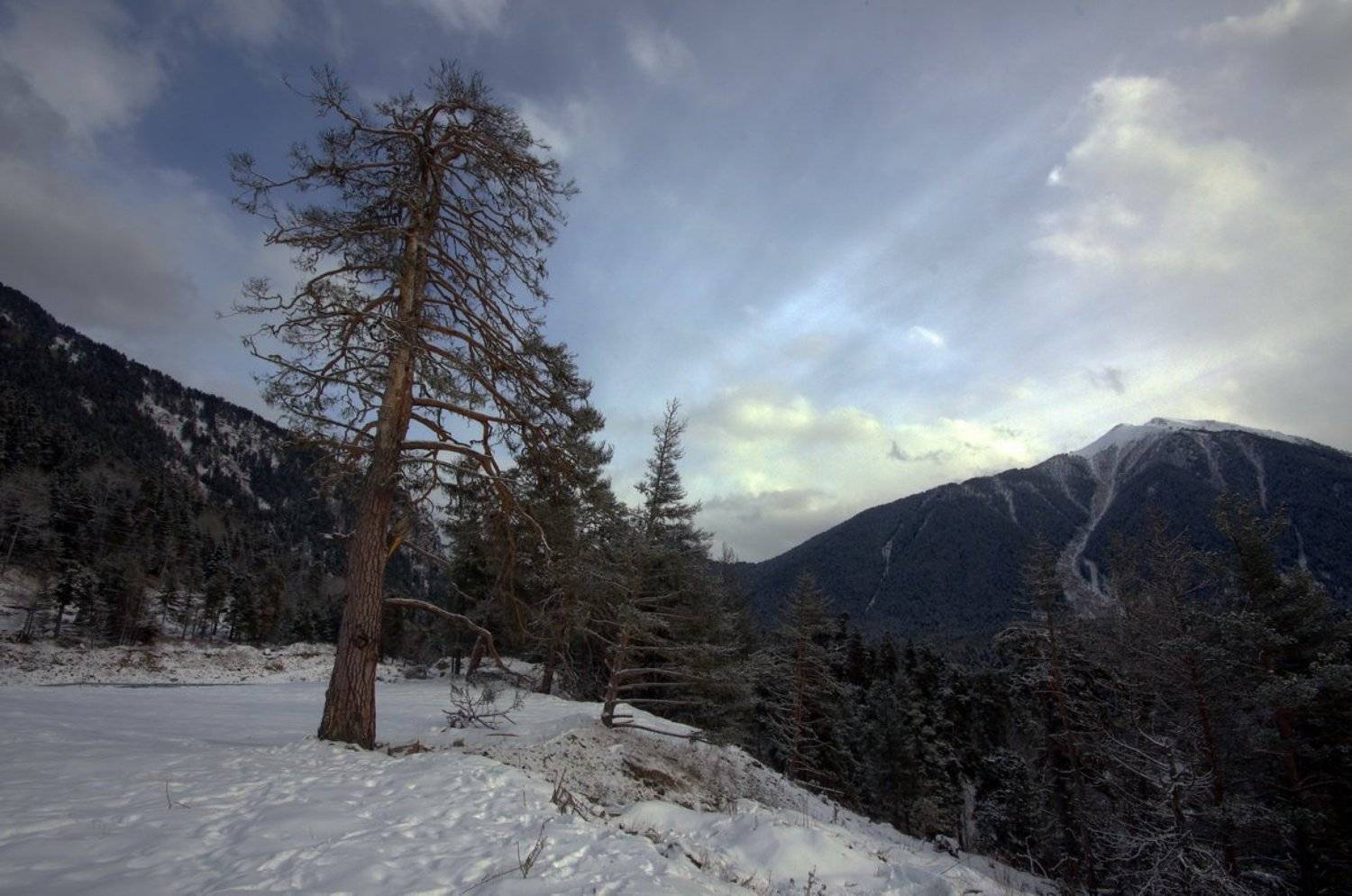 , Арсен Алабердов